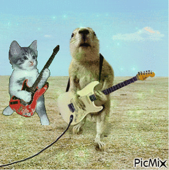Welcome GIF